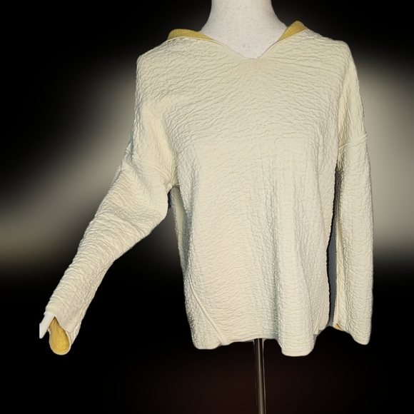 J JILL Reversable Hoodie Sweater Sweatshirt Size S - Picture 1 of 9